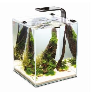 akvarium-aquael-shrimp-set-smart-10-belyij-113228_2.400x400