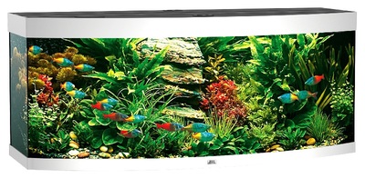 akvarium-uwel-vision-450-beliy.400x400