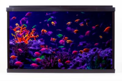 resun-glo-fish-wpg-40-378-l.400x400