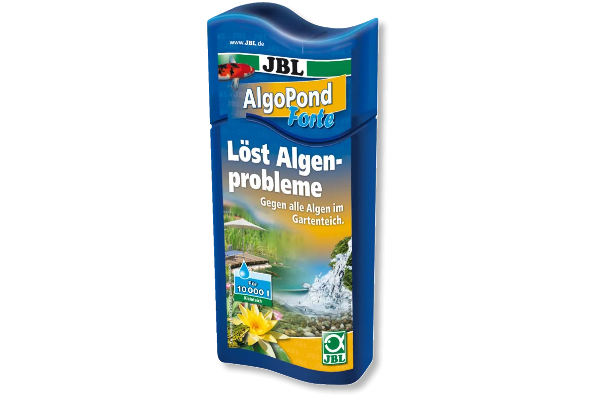 images-container-w1940-65360-1200x800.png